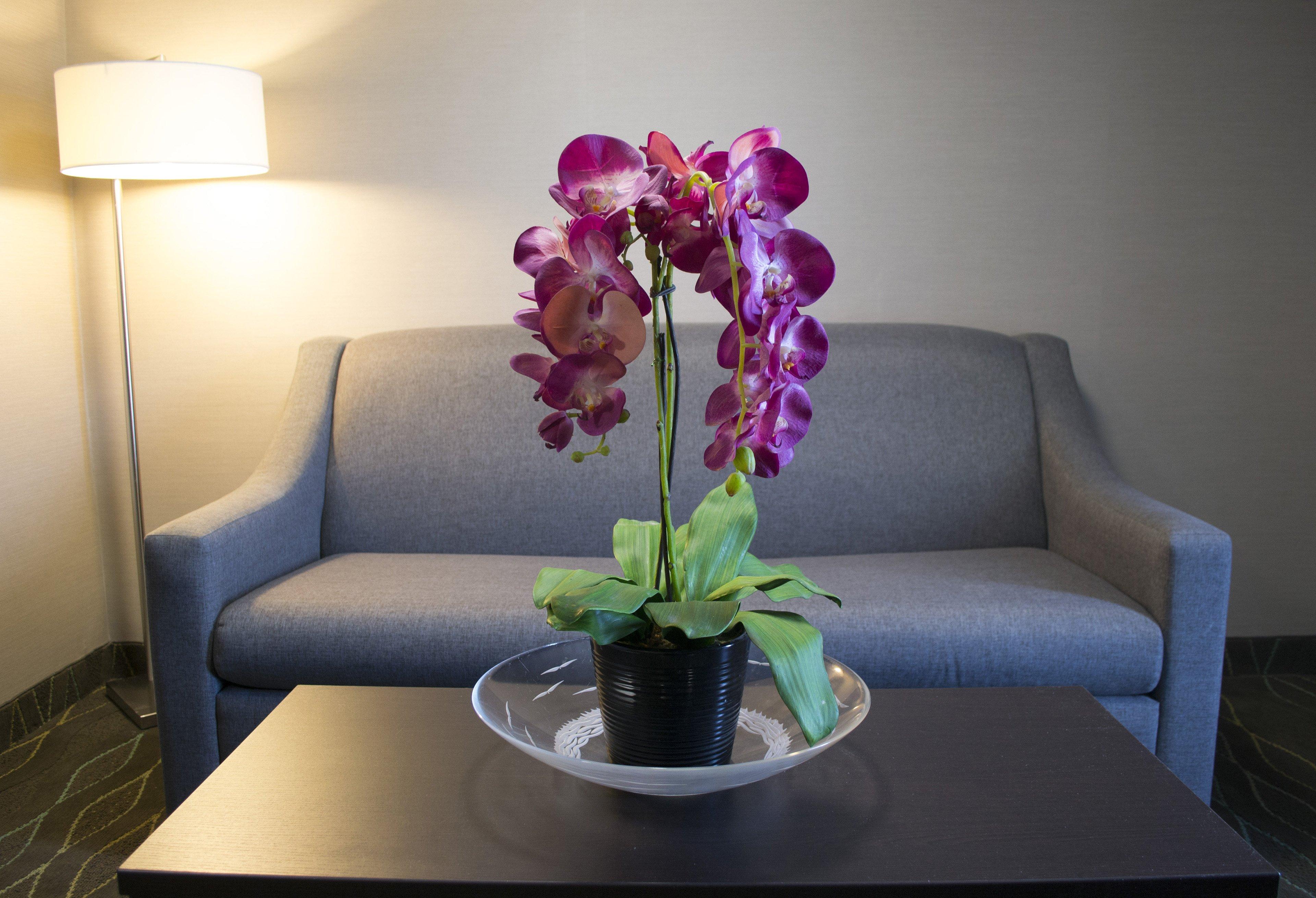 Holiday Inn Sudbury By Ihg Dış mekan fotoğraf